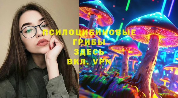 герыч Алексин