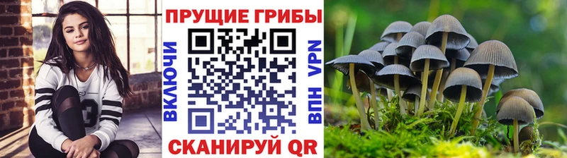 Галлюциногенные грибы MAGIC MUSHROOMS  Бикин 